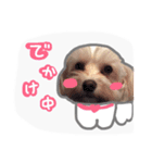 うちのエースくん（個別スタンプ：5）
