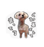 うちのエースくん（個別スタンプ：6）