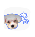うちのエースくん（個別スタンプ：7）