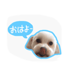 うちのエースくん（個別スタンプ：9）