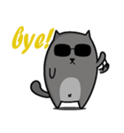 Grey Cool Cat（個別スタンプ：5）