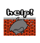Grey Cool Cat（個別スタンプ：38）
