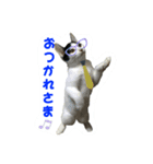 konatsu＆yuki（個別スタンプ：2）