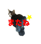 konatsu＆yuki（個別スタンプ：6）