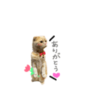 だいずの1日（個別スタンプ：15）