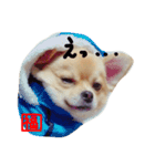福太郎（個別スタンプ：3）
