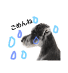 ムックん（個別スタンプ：6）