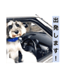 ムックん（個別スタンプ：16）