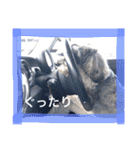 ムックん（個別スタンプ：17）