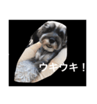 ムックん（個別スタンプ：19）