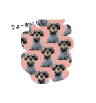 ムックん（個別スタンプ：26）
