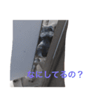 ムックん（個別スタンプ：28）