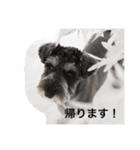 ムックん（個別スタンプ：32）