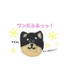 柴犬のクッキー（個別スタンプ：1）