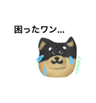 柴犬のクッキー（個別スタンプ：2）
