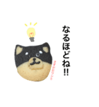 柴犬のクッキー（個別スタンプ：3）