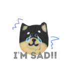 柴犬のクッキー（個別スタンプ：6）