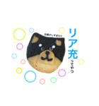 柴犬のクッキー（個別スタンプ：12）