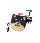 柴犬のクッキー（個別スタンプ：14）