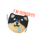 柴犬のクッキー（個別スタンプ：16）
