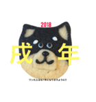 柴犬のクッキー（個別スタンプ：19）