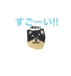 柴犬のクッキー（個別スタンプ：21）