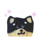 柴犬のクッキー（個別スタンプ：22）