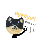 柴犬のクッキー（個別スタンプ：24）