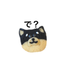 柴犬のクッキー（個別スタンプ：25）