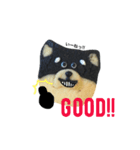 柴犬のクッキー（個別スタンプ：35）