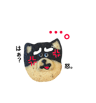 柴犬のクッキー（個別スタンプ：36）