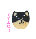 柴犬のクッキー（個別スタンプ：37）
