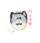 柴犬のクッキー（個別スタンプ：38）