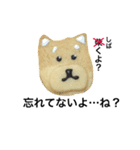 柴犬のクッキー（個別スタンプ：40）