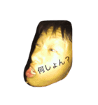 安井 司さんの挨拶（個別スタンプ：33）