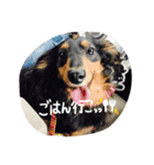 れおんとしおんと時々むぎ（個別スタンプ：1）