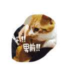 れおんとしおんと時々むぎ（個別スタンプ：8）