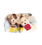 れおんとしおんと時々むぎ（個別スタンプ：9）