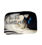 れおんとしおんと時々むぎ（個別スタンプ：16）
