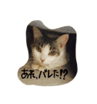れおんとしおんと時々むぎ（個別スタンプ：18）