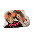 れおんとしおんと時々むぎ（個別スタンプ：21）