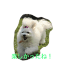 ボロニーズれなれの1（個別スタンプ：5）