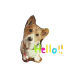 くれたま（個別スタンプ：10）