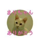 なまえ＋ありがとうスタンプ（個別スタンプ：2）