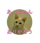 なまえ＋ありがとうスタンプ（個別スタンプ：4）