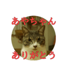 なまえ＋ありがとうスタンプ（個別スタンプ：5）
