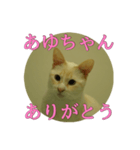 なまえ＋ありがとうスタンプ（個別スタンプ：6）