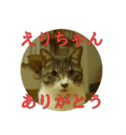 なまえ＋ありがとうスタンプ（個別スタンプ：7）