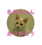 なまえ＋ありがとうスタンプ（個別スタンプ：8）