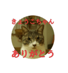 なまえ＋ありがとうスタンプ（個別スタンプ：9）